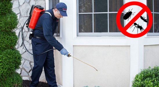 Çiçekdağı Böcek İlaçlama böcek ilaçlama ve haşere kontrolü — ilaclama-tr.com